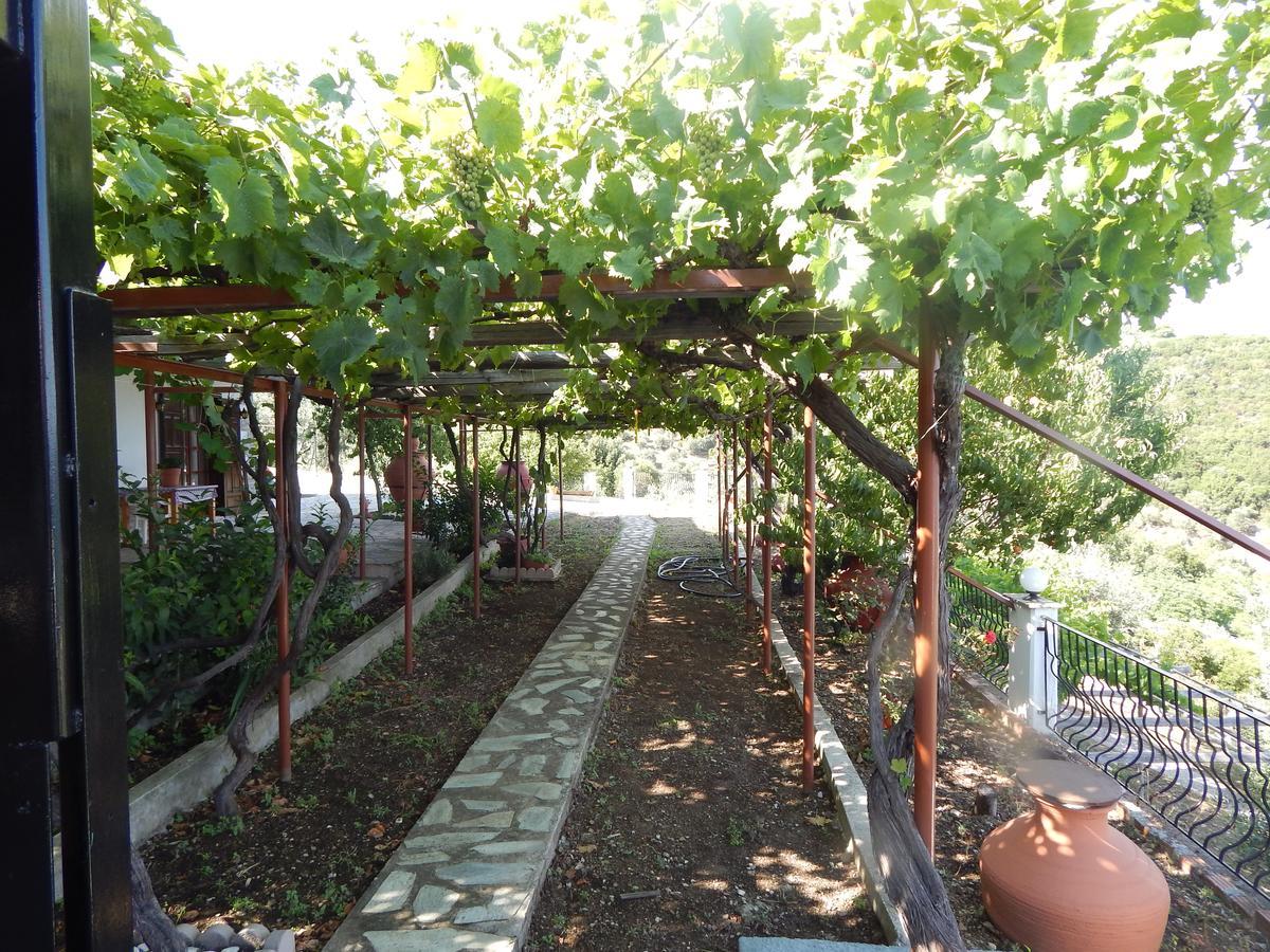Ktena Apartments Platanias  Zewnętrze zdjęcie